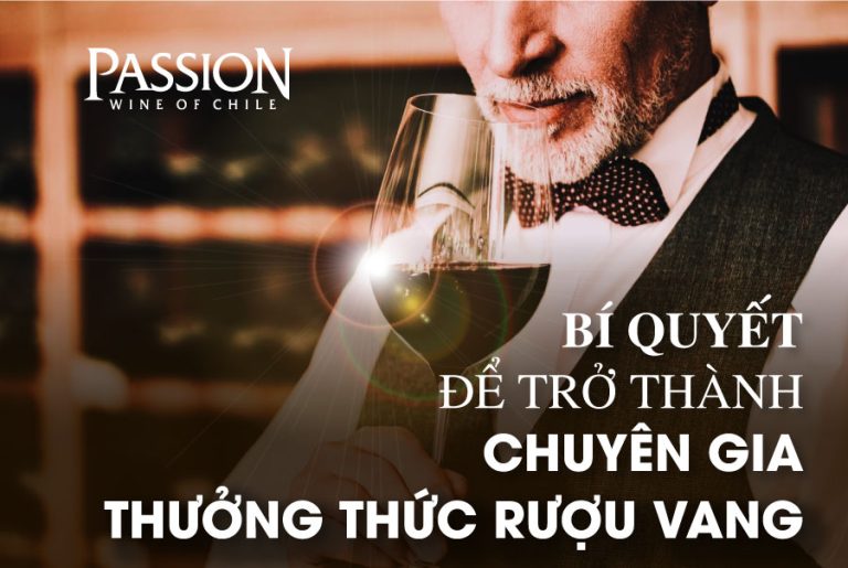 Bí quyết để trở thành chuyên gia thưởng thức rượu vang