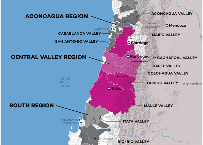 Khám Phá Central Valley: “Trái Tim” Sản Xuất Rượu Vang Chile