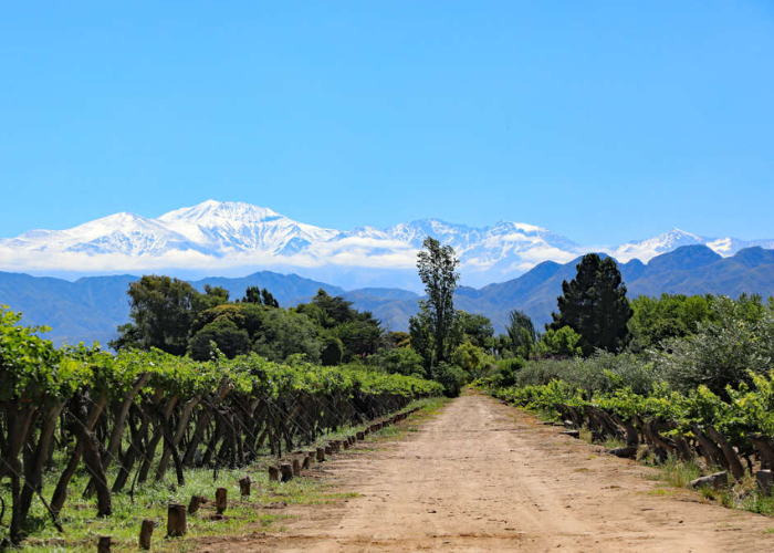 Khám Phá Hệ Thống Tưới Nhỏ Giọt Từ Băng Tan Dãy Andes