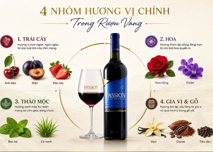 Mỗi chai vang có thể mang đến nhiều nhóm hương khác nhau, từ trái cây, hoa đến gia vị và những nốt hương từ quá trình trưởng thành.