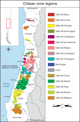 Bản đồ các vùng trồng nho nổi tiếng ở Chile